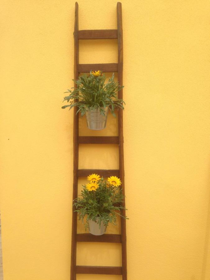 Camilla Affitta Camere Nicolosi Exterior photo